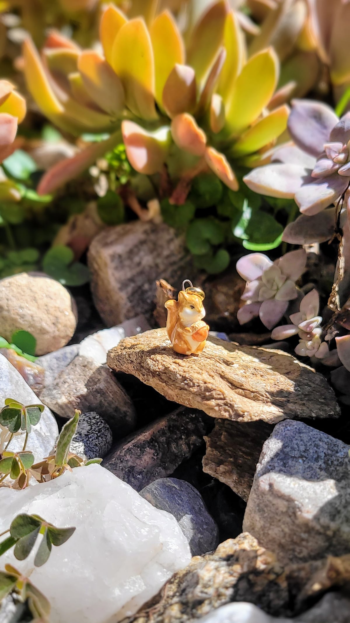 Ardillita con bellota 🐿️ 🌰 - Media 1